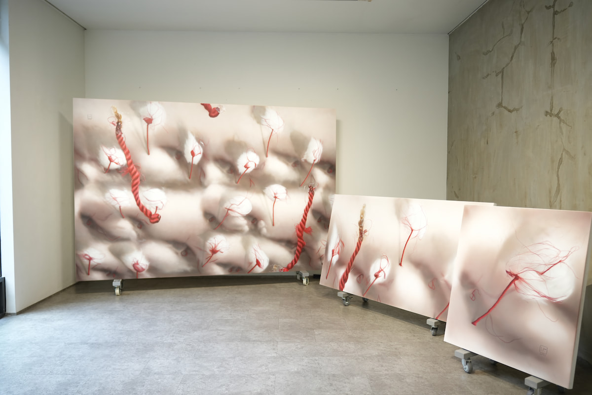 Nadi Gallery.