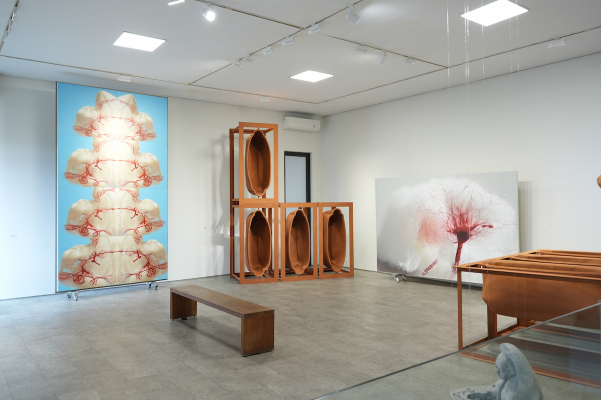 Nadi Gallery.