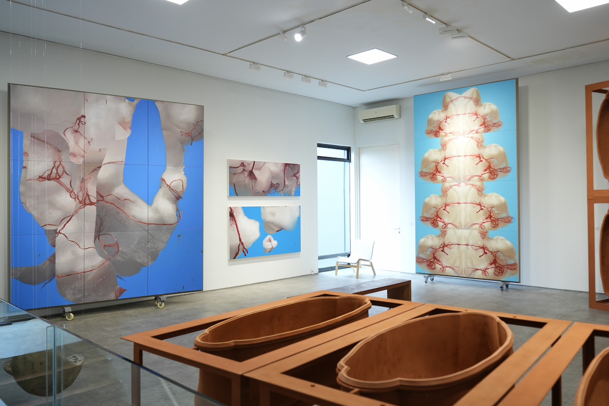 Nadi Gallery.